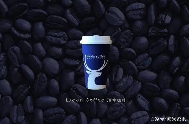 获取方式与加盟要点揭秘